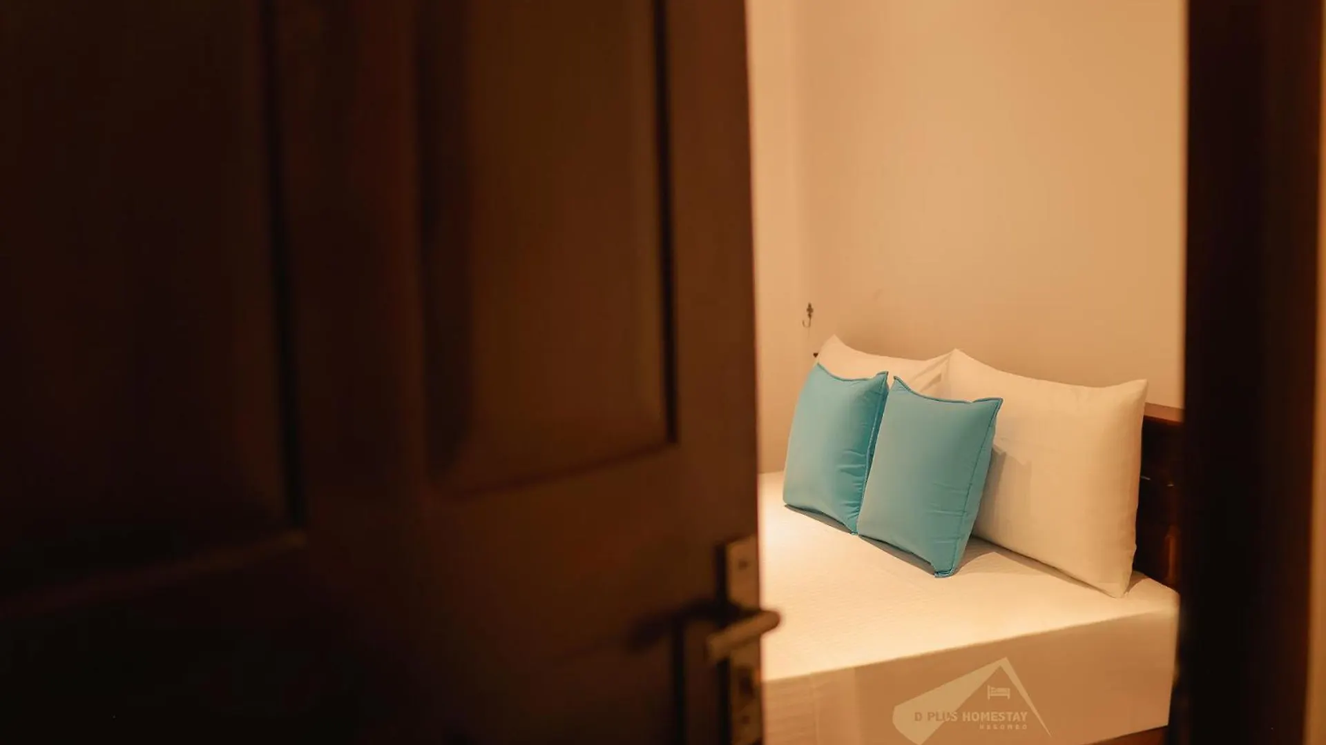 D Plus Homestay Νεγκόμπο Σρι Λάνκα