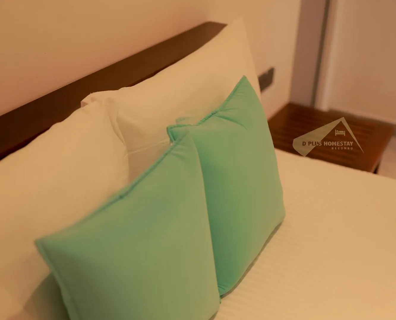 D Plus Homestay Νεγκόμπο