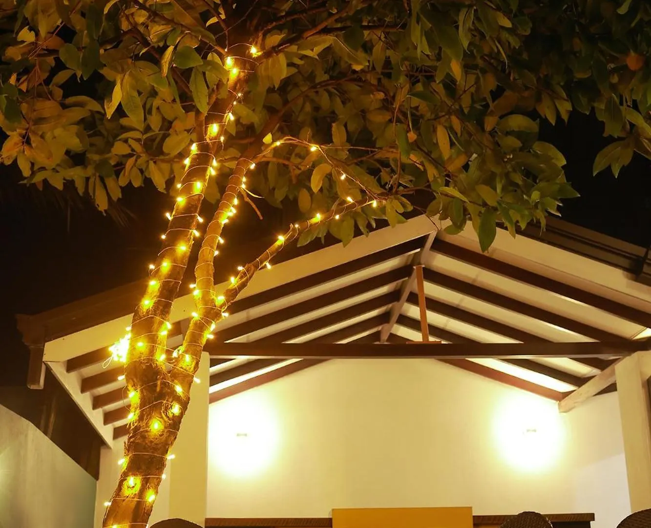 D Plus Homestay Νεγκόμπο